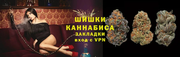 PSILOCYBIN Арсеньев