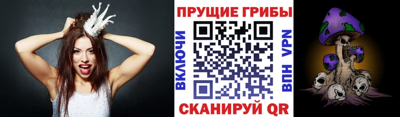 наркошоп  hydra зеркало  Галлюциногенные грибы мицелий  Новое Девяткино 